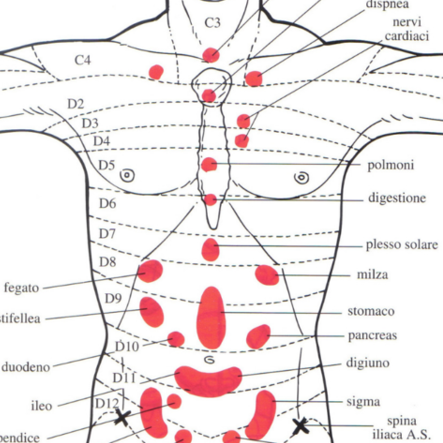 formation jarricot reflexologie