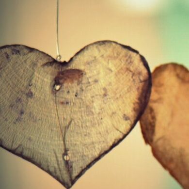 Lire la suite à propos de l’article Approfondir la posture d’écoute au service de l’accompagnement