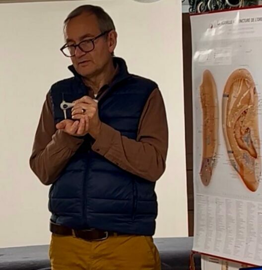 Dr Delaplace formation Réflexologie auriculaire & Chromopuncture fréquentielle