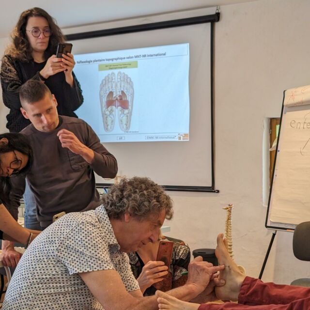 1ere session des  3x3jours  en mnt-nr
Une formation unique pour des reflexologues déjà formés en réflexologie des nerfs. 
Bravo au groupe pour leur motivation et un merci plus qu infini a Nico Pauly pour tous ce qu il apporte a cette discipline.
#reflexologie #formationreflexologieplantaire #mntnr #formationprofessionnelle #formationaude #reflexologue #reflexologueplantaire