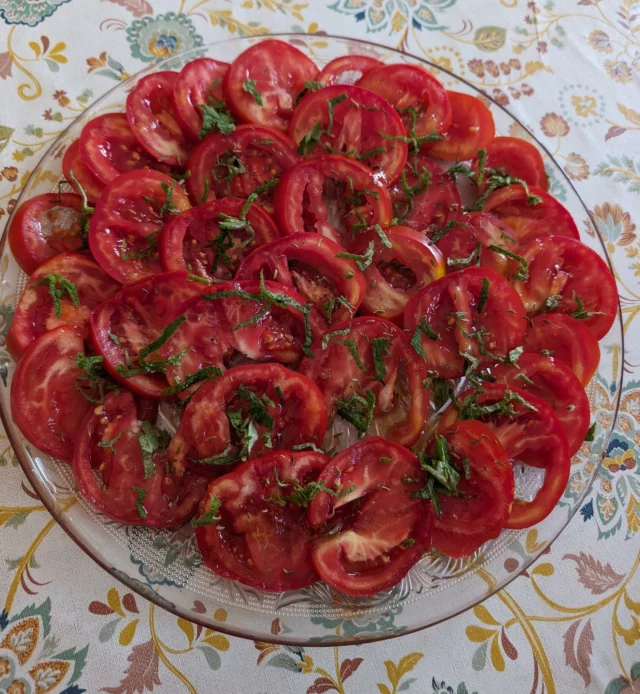 La cuisine reprend du service chez L&A !
Pour la formation Réflexologie abdominale et thoracique
les dermalgies du Dr Jarricot 
Par Lilian Gautheron assisté par Élodie Gontaud.
Une simple salade de tomate 🍅 ? 
Noooooon
Tomates en direct et sans détour de la ferme Festin d Elian
Du miel d Origan de notre voisin Le rucher Cathare
De la menthe fraîche du jardin 
Des graines de fenouuuuil
Et une pointe de sel bien sûr 
😋
#reflexologie #formationprofessionnelle #formationreflexologieaude #formationreflexologie #reflexologieabdominale #jarricot #formationenresidentiel #casepasseauxgriffouls